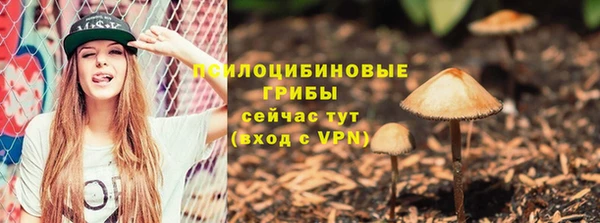 бутират Майский