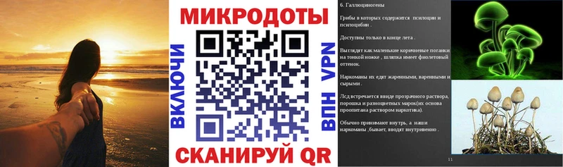 Псилоцибиновые грибы Psilocybine cubensis  shop телеграм  Отрадный 